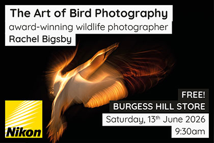 The Art of Bird Photography; with Rachel Bigsby