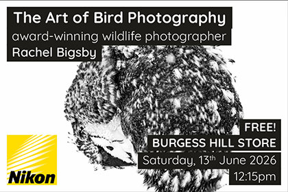 The Art of Bird Photography; with Rachel Bigsby