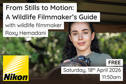 Get the most out of your Canon camera when shooting Wildlife