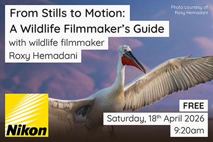 Get the most out of your Canon camera when shooting Wildlife