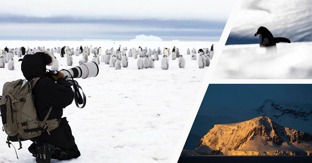 Capturing wildlife images in sub-zero temperatures with Lucia Griggi