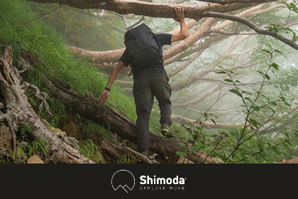 Shimoda