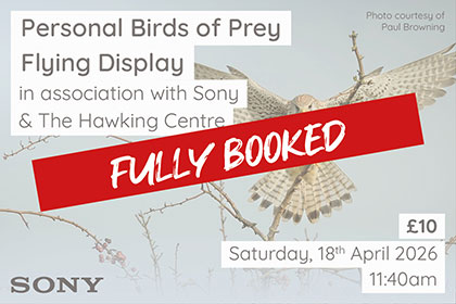 Personal Birds of Prey Flying Display at Park Cameras Wildlife Day