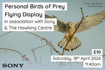 Personal Birds of Prey Flying Display at Park Cameras Wildlife Day