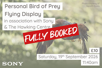 Personal Bird of Prey Flying Display at Park Cameras Wildlife Day
