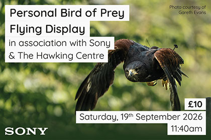 Personal Bird of Prey Flying Display at Park Cameras Wildlife Day
