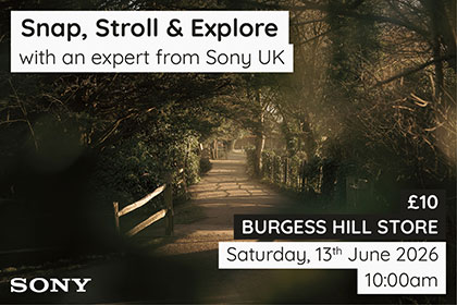 Snap, Stroll & Explore