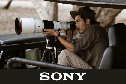 Sony