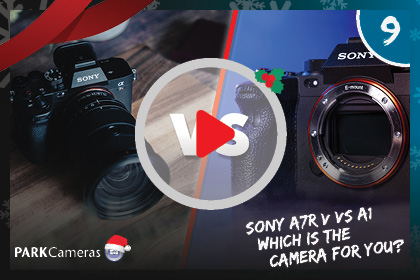Sony a7R V vs a1 | Which is the Camera For You?