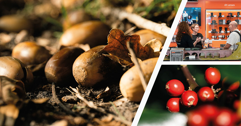 Sony 100mm Macro Day - Burgess Hill