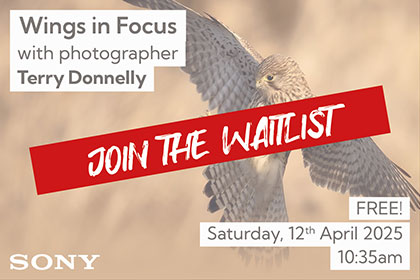 Wings in Focus; with photographer Terry Donnelly