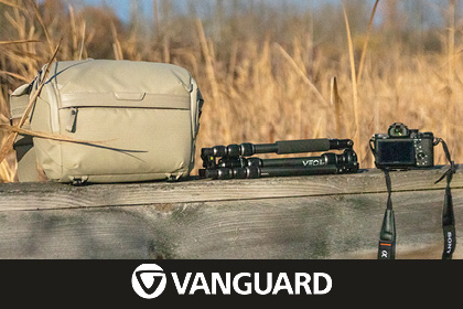 Vanguard