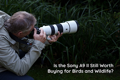 Is the Sony A9 II Still Worth Buying for Birds and Wildlife