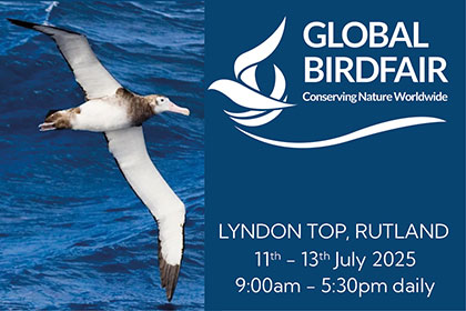 Global Birdfair 2025