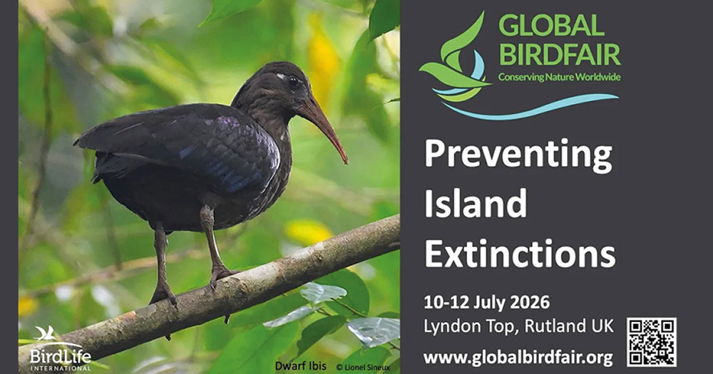 Global Birdfair 2026 - Park Cameras