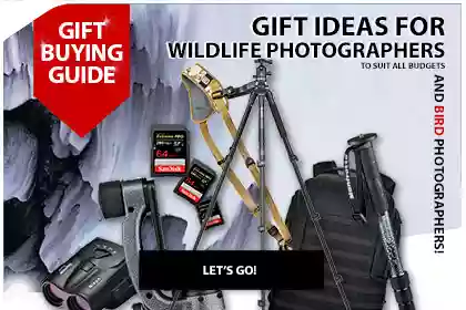 Best Gifts For Wildlife And Bird Photographers