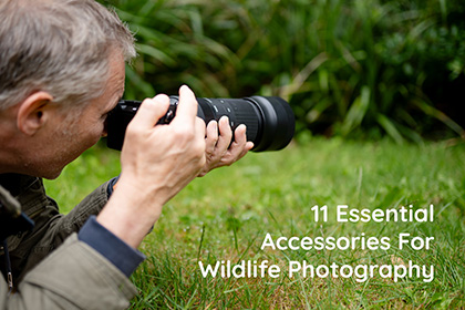 11 Essential Accessories for Wildlife Photography