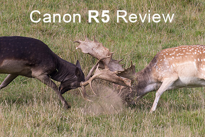 Canon R5 Review
