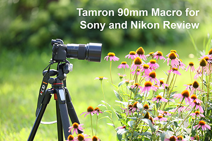 Tamron 90mm Macro for Sony and Nikon Review