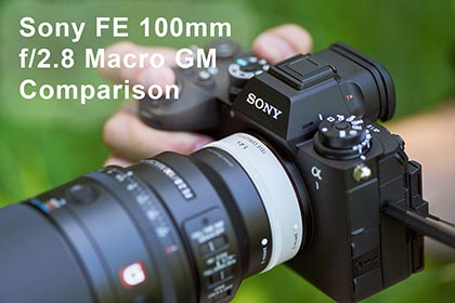 Sony FE 100mm f/2.8 Macro GM Comparison