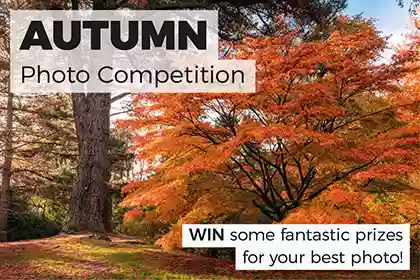 Win some fantastic prizes in our ‘Autumn’ photo competition