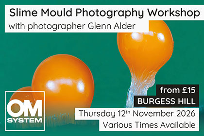 Slime Mould Photography Workshop