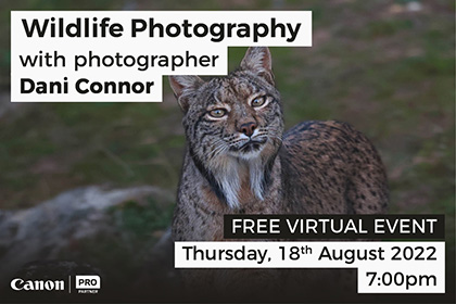 Wildlife Photography With Dani Connor