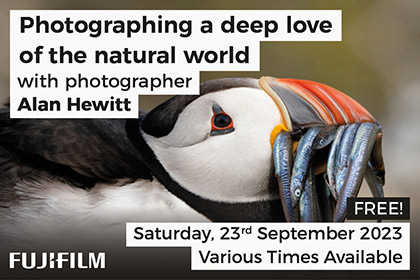 Photographing a deep love of the natural world