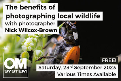 The benefits of photographing local wildlife with Nick Wilcox-Brown