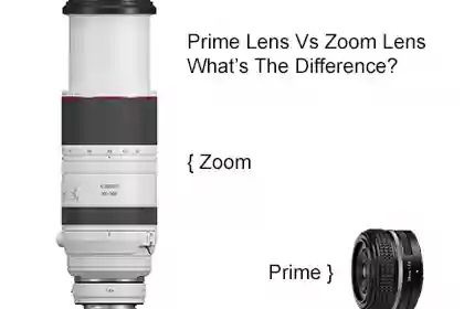 Prime Lens vs Zoom Lens Whats the Difference