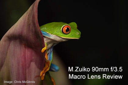 M.Zuiko Digital ED 90mm f/3.5 Macro Lens Review