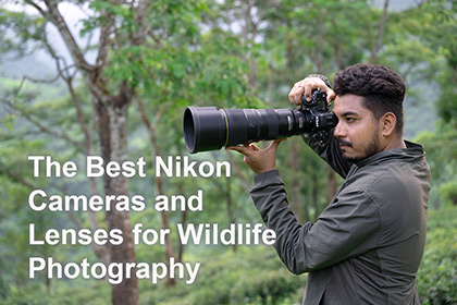 Wildlife Photography the Best Nikon Cameras and Lenses