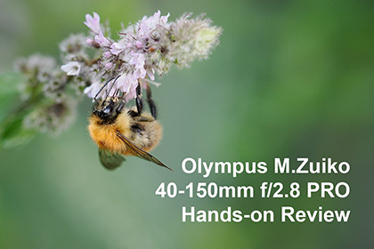 Olympus M.Zuiko 40-150mm f/2.8 PRO Review
