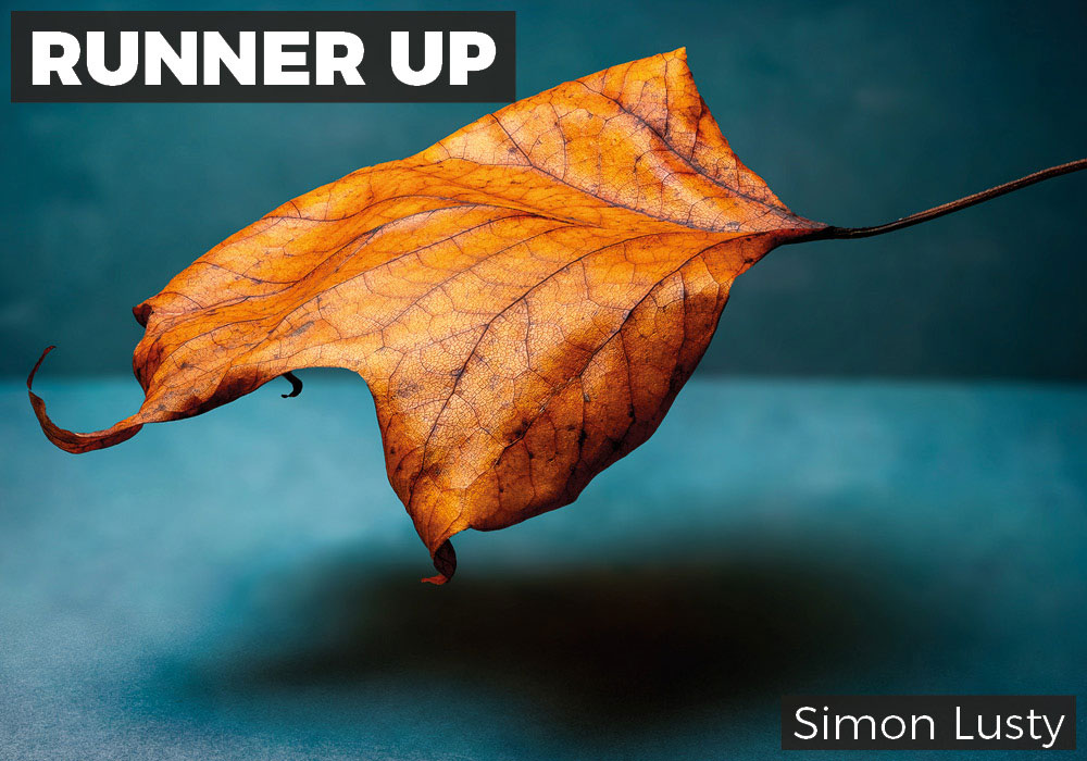 Runner Up: Simon Lusty: ‘Falling’