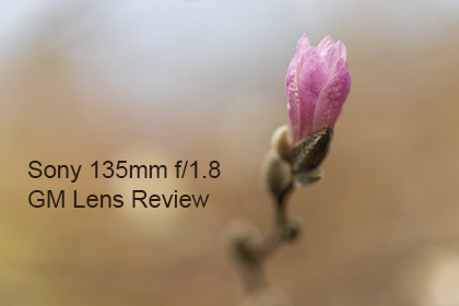 Sony 135mm f1.8 GM Lens Review