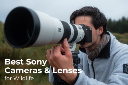Wildlife Photography the Best Sony Cameras and Lenses