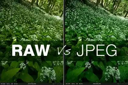 Why Shoot Photos in RAW