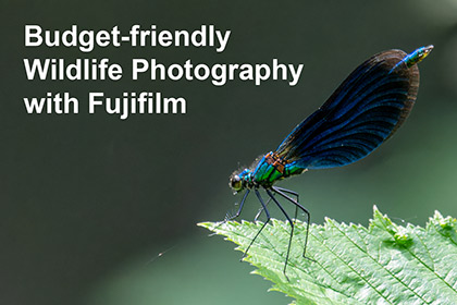 Budget-friendly Wildlife Photography with Fujifilm