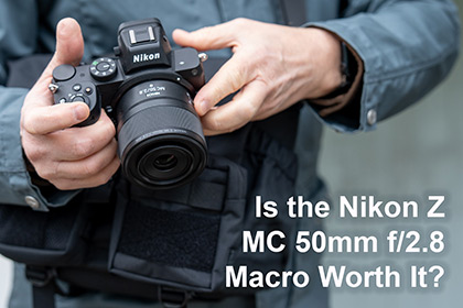 Is the Nikon Z MC 50mm f/2.8 Macro Worth It