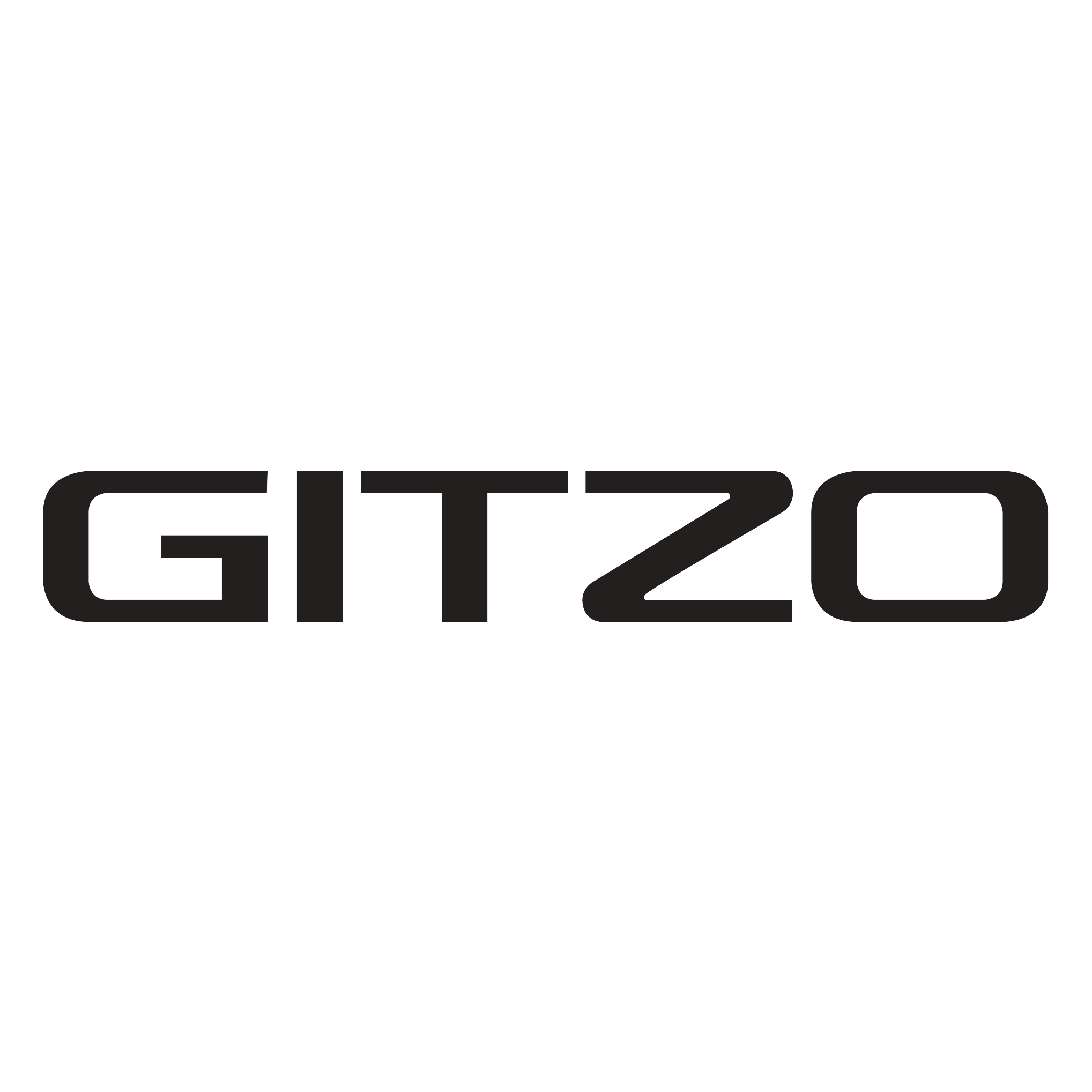 Gitzo Camera bags