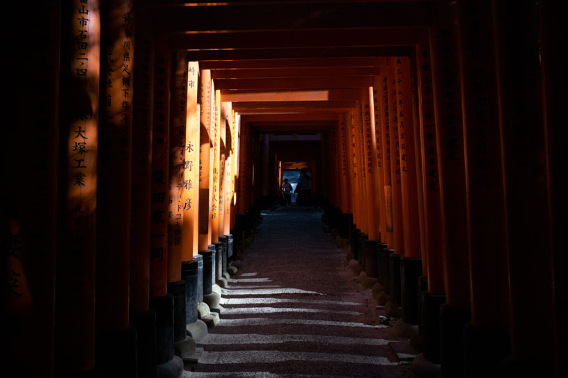 zeiss ZX1 sample image