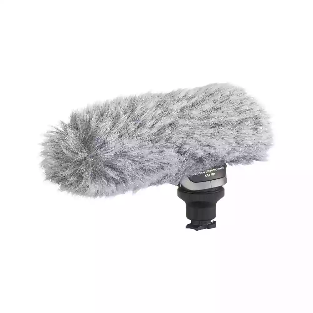 Canon DM-100 Directional Microphone