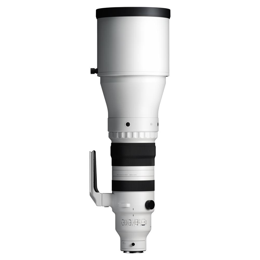 Sigma 300-600mm f/4 DG OS Sports for Sony E Park Cameras