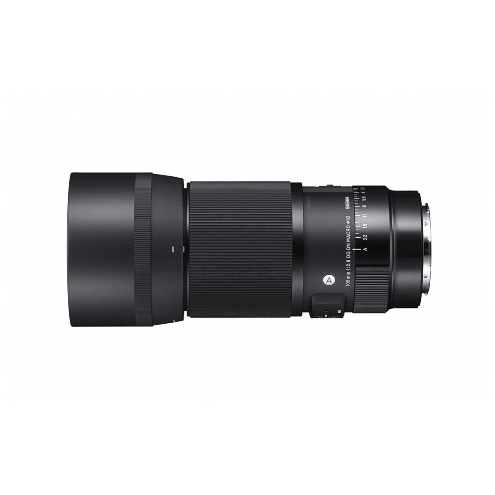Sigma 105mm f/2.8 DG DN Macro Lens Leica L | Park Cameras