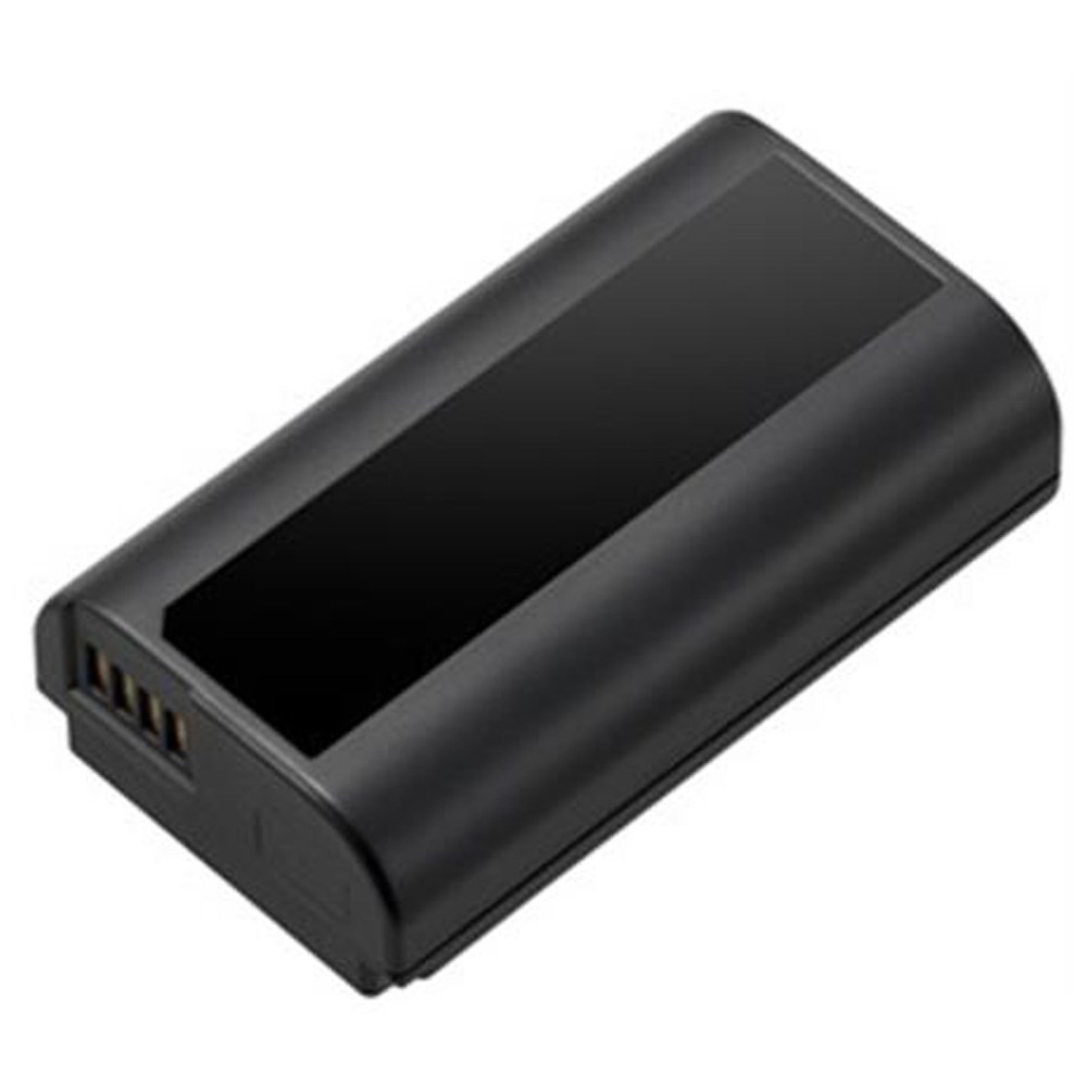 Panasonic Lumix S1 Vlog upgrade Battery Park Cameras