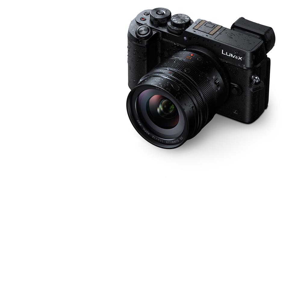 Panasonic Leica DG Summilux 12mm Park Cameras