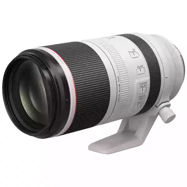 Canon RF 100-500mm F/4.5-7.1 L IS USM