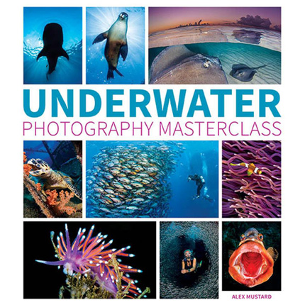 GMC Underwater Photography Masterclass by Alex Mustard