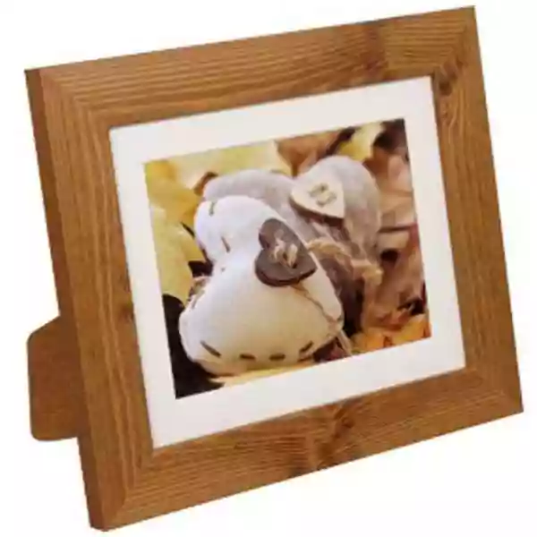 Antique Wood Frame Twin Pack 6x8