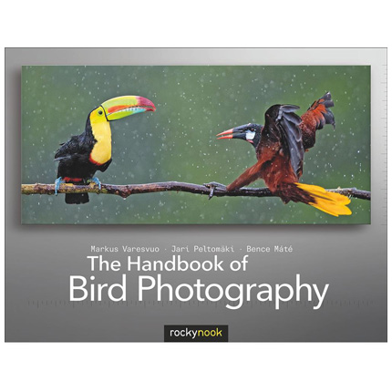 CBL Handbook of Bird Photography